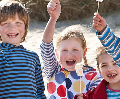 Beach Campfires Smokeless Luxe Firepit, Ormonf=d Beach, Florida