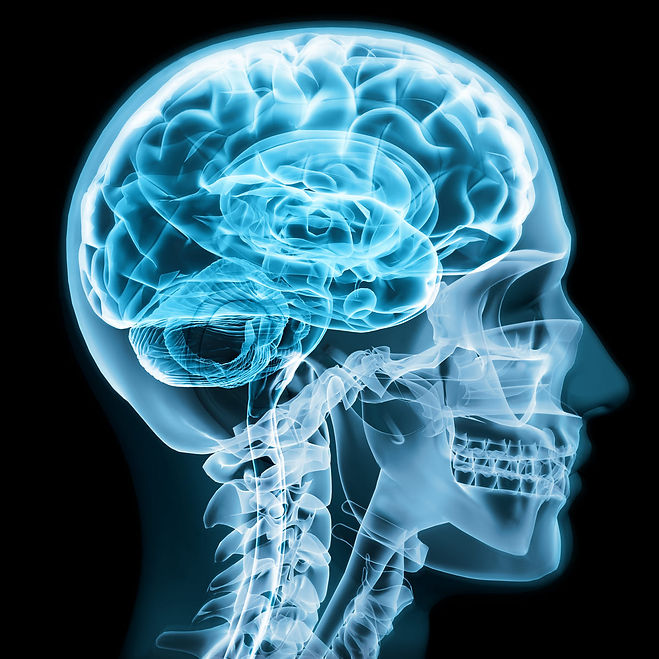 Qué-es-la-Neurofisiología.jpg