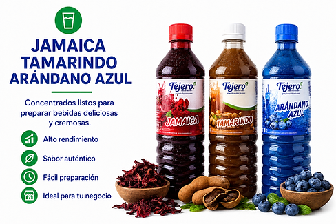 Concentrados para, Jarabes JAMAICA TAMARINDO Y MORA AZUL