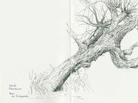 Les STAGES du 2ème trimestre 2026 à Paris