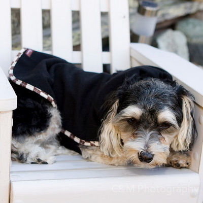 Thumbnail: Black Wool Coat w/ Brown Argyle Trim