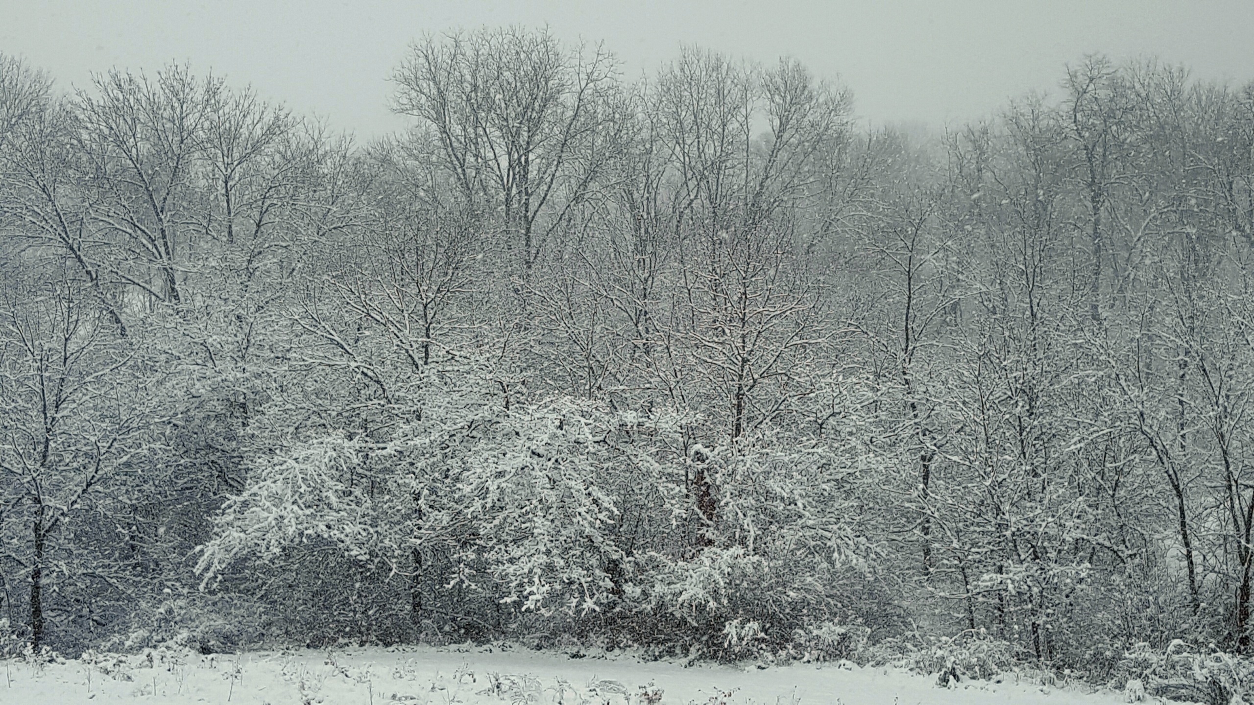 3rd Place - Heather Kjormoe
