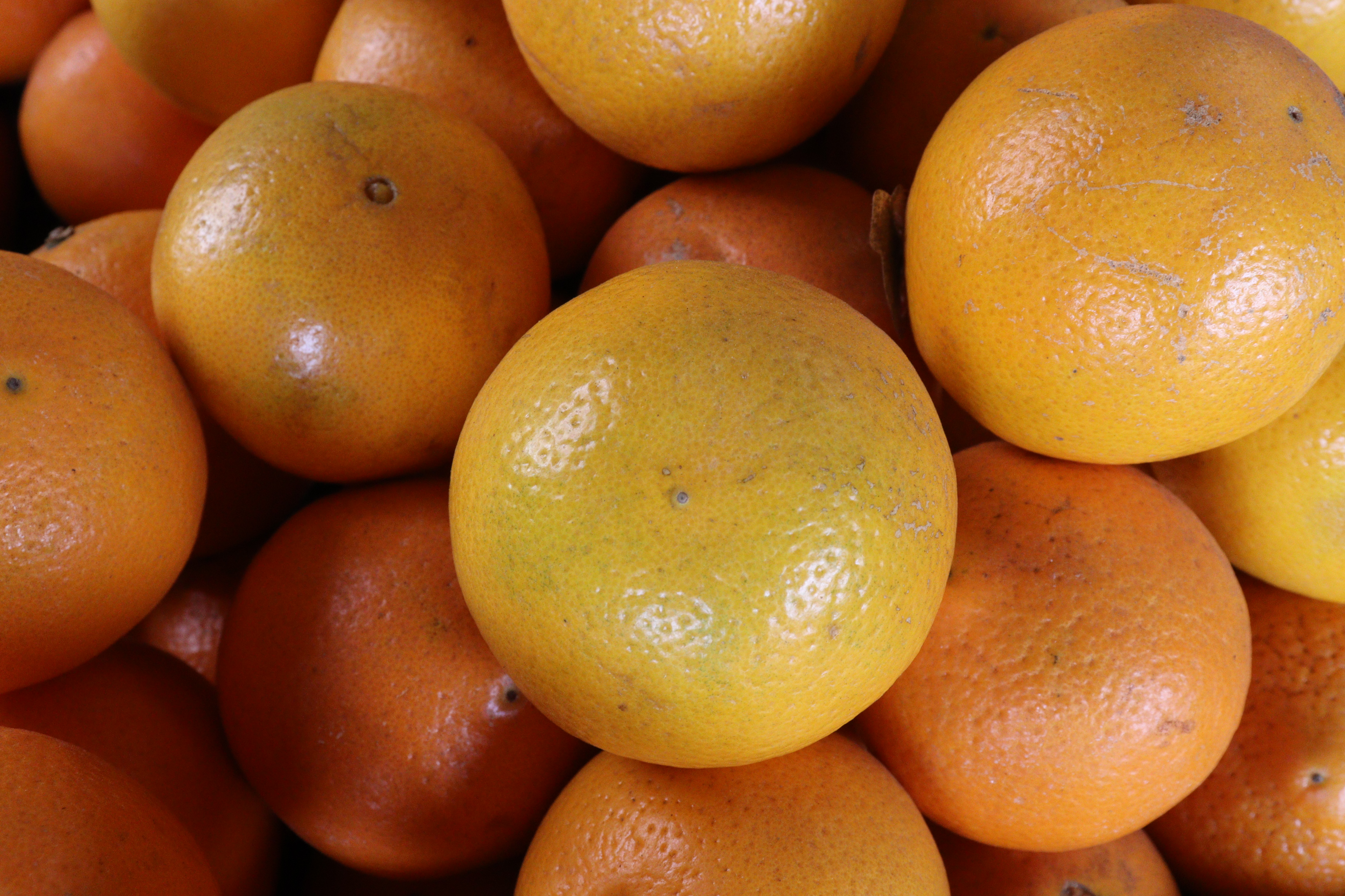 Unbranded oranges, illustrating the wider range of traded fruit
