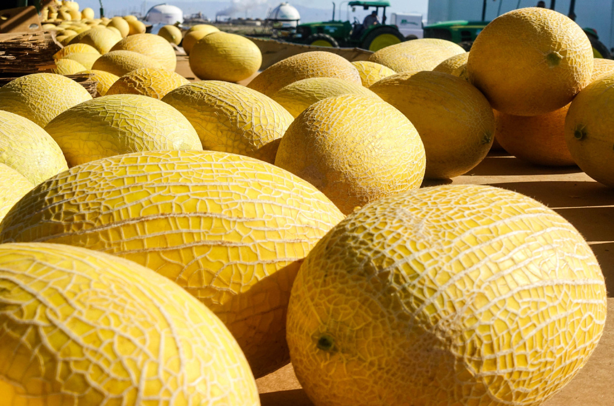 Fruits imported from China have been on an increasing trend in Singapore