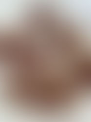 Tahini Dark Chocolate Sea Salt Stuffed Dates