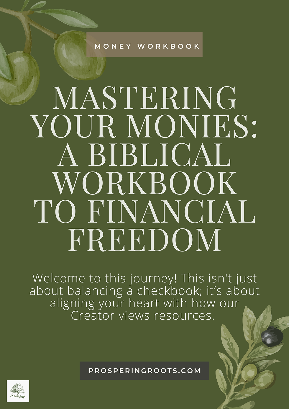 Mastering your Monies A Biblical Workbook to Financial Freedom (11).png