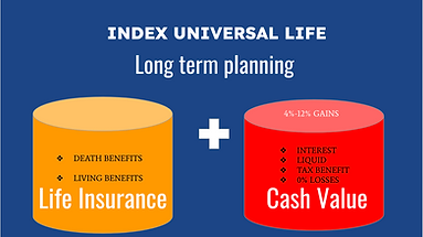 Indexed Universal Life Insurance 