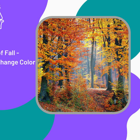The Science of Fall - Why Leaves Change Color