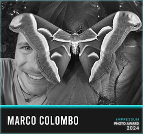 locandina - GIURIA_05 Marco Colombo  x sito.jpg