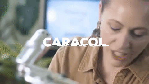 Projets et nouvel album pour Caracol