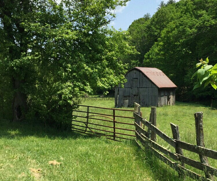 Old Dairy Barn 2