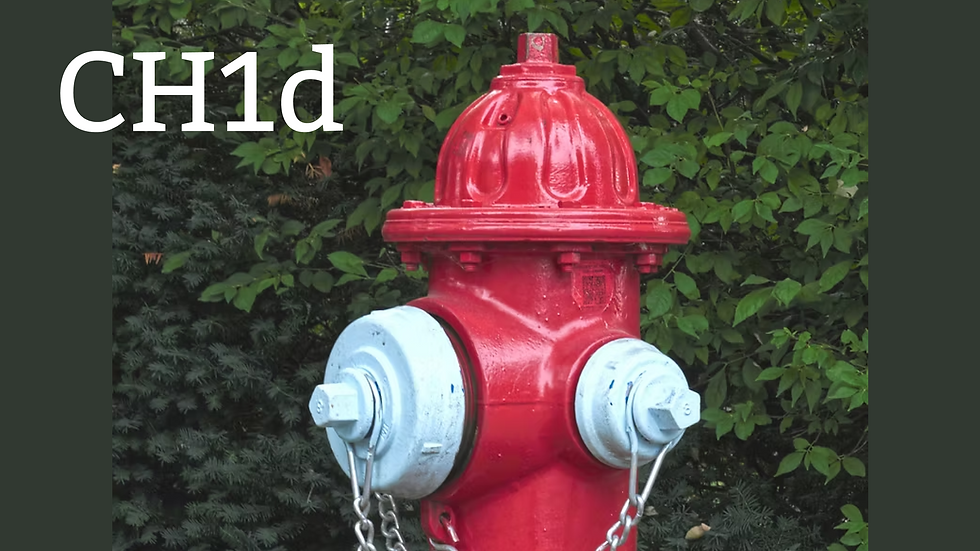 CH1d: Paint Fire Hydrants