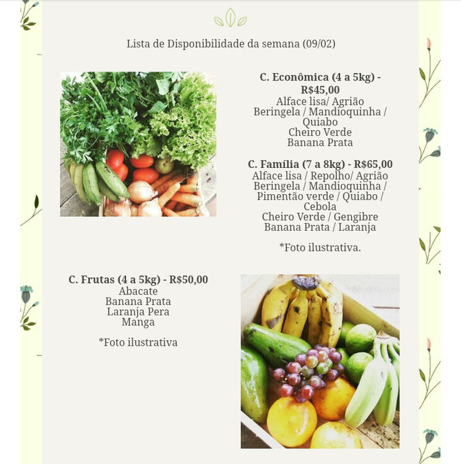 Cesta de orgânicos da semana (09/02)