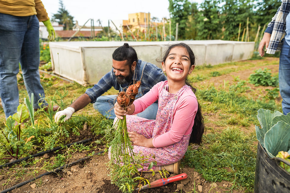 Family harvesting carrots from a community garden