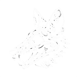 Coyote 2.png
