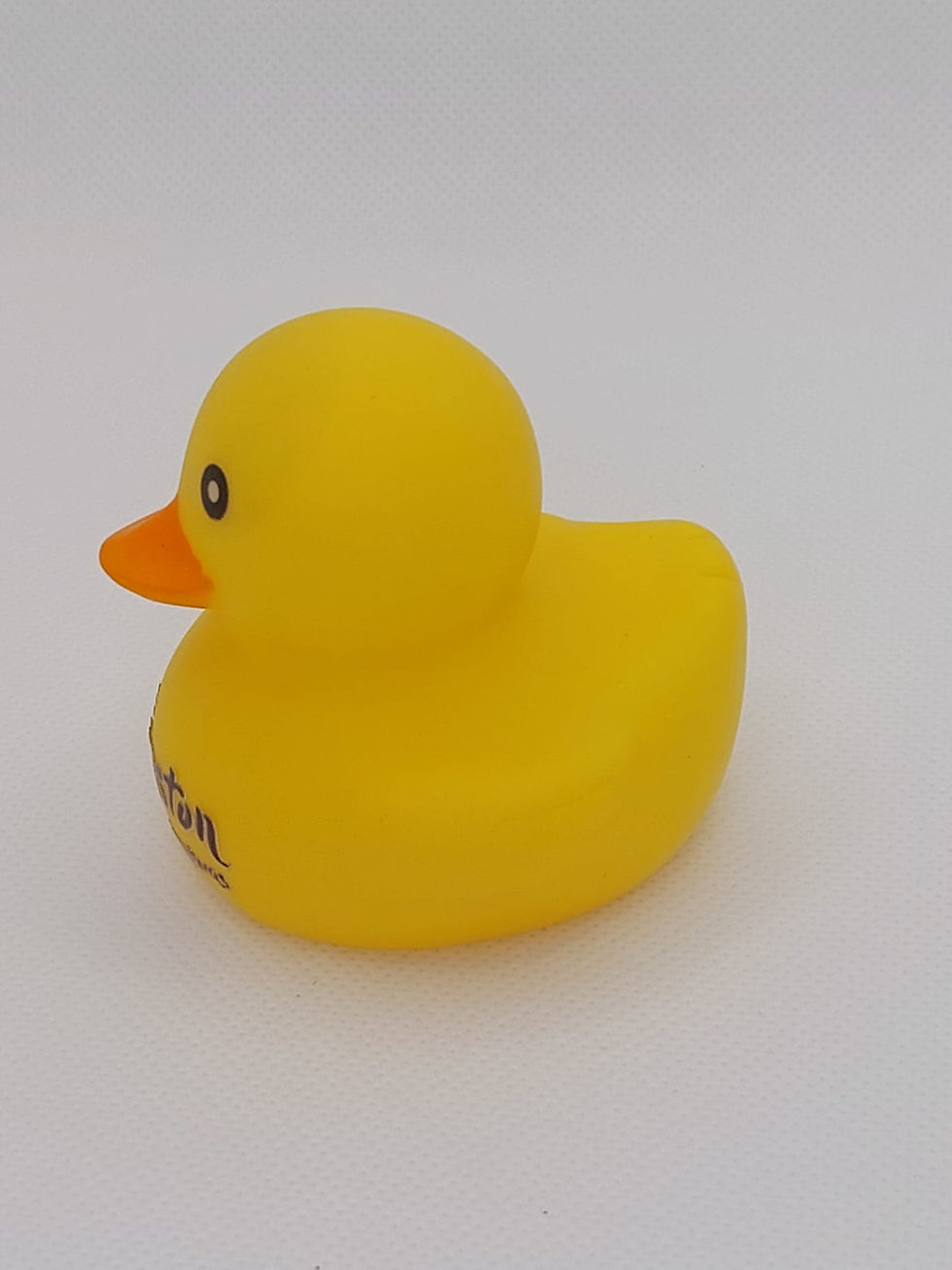 Miniatura: Pato de goma Wingston