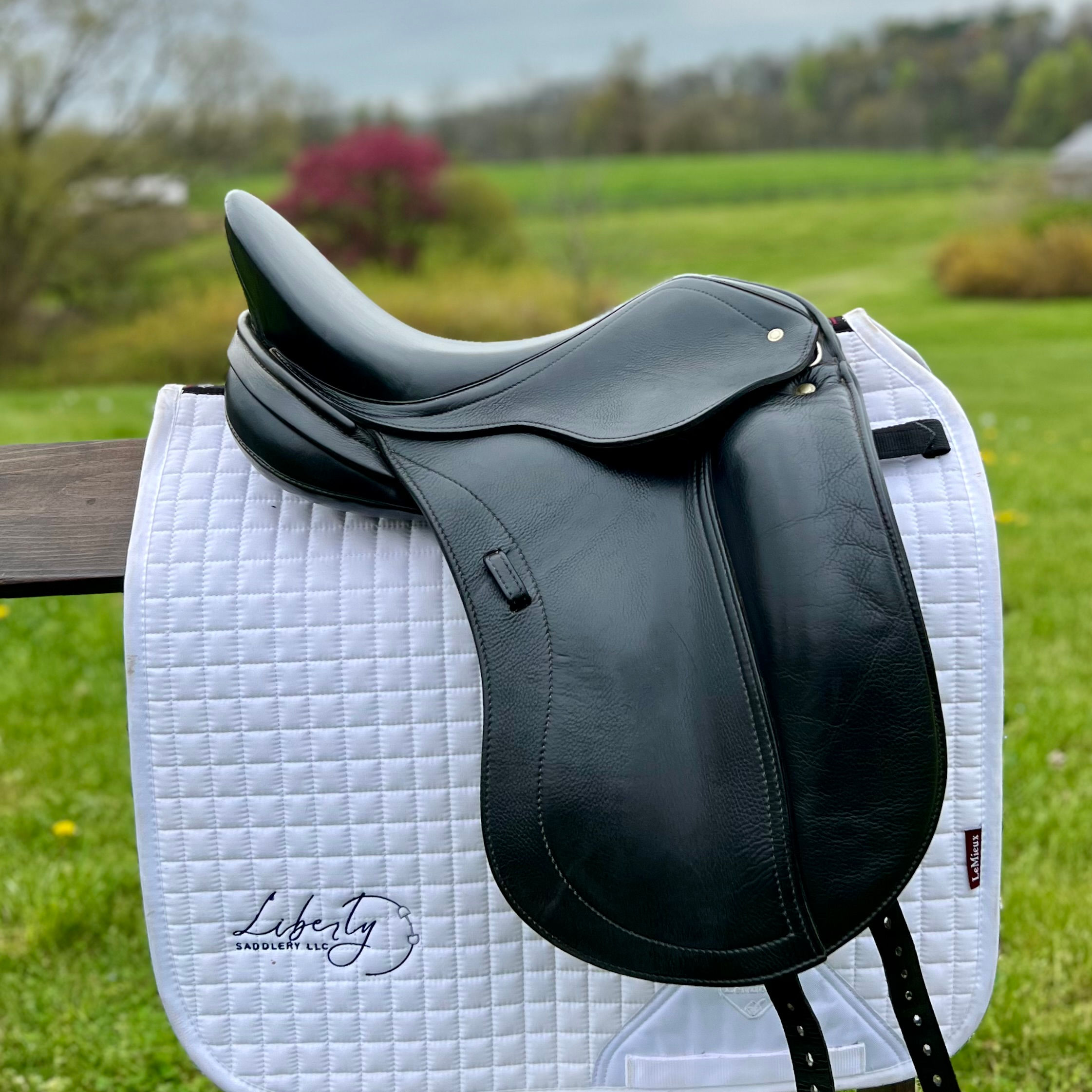 17" XW Schleese Liberty