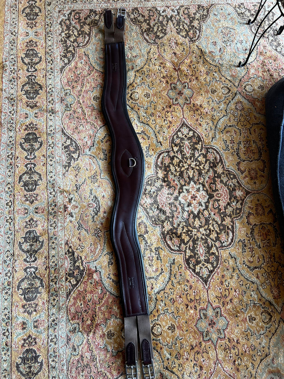 56" County Logic Girth