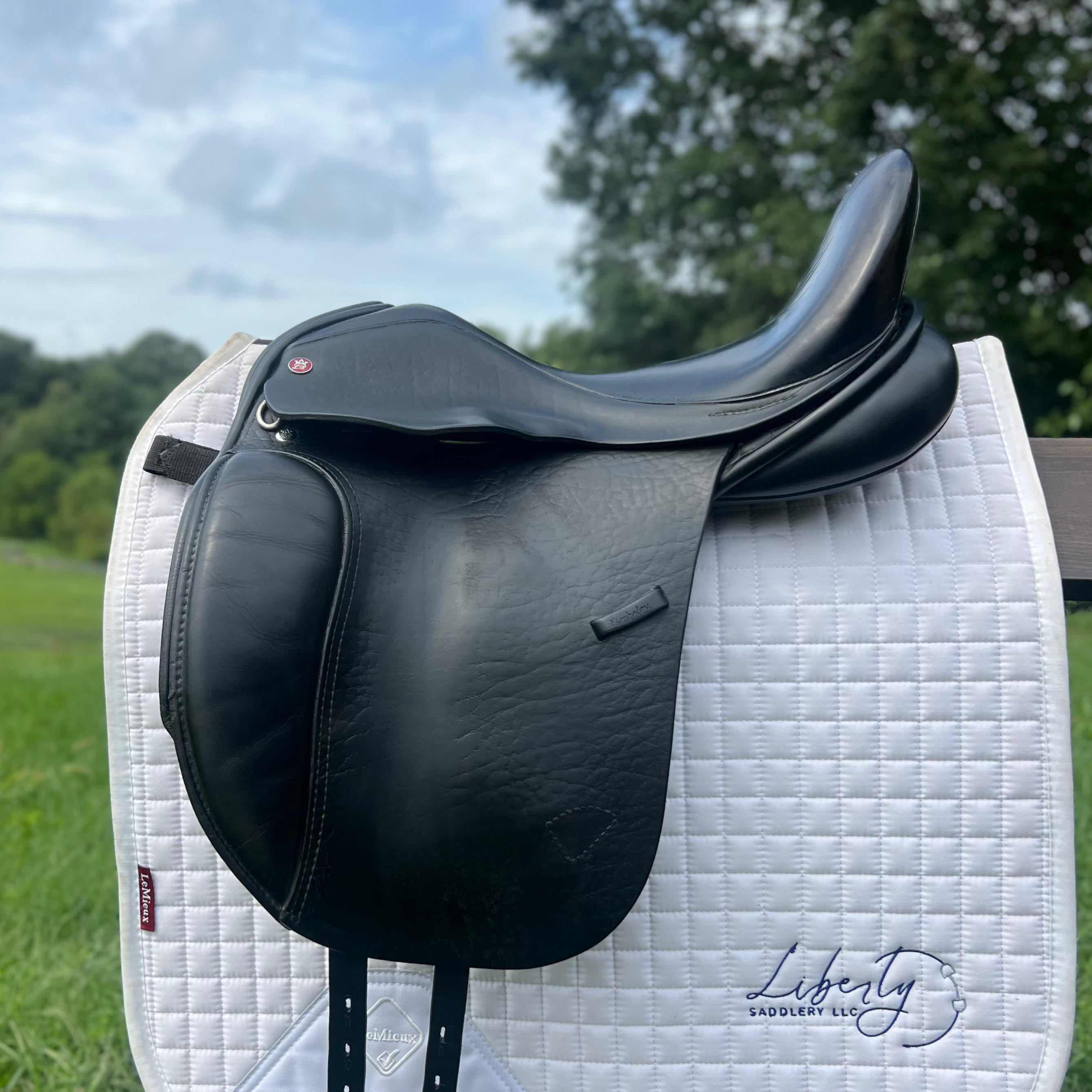 17" W Lovatt & Ricketts Berkeley