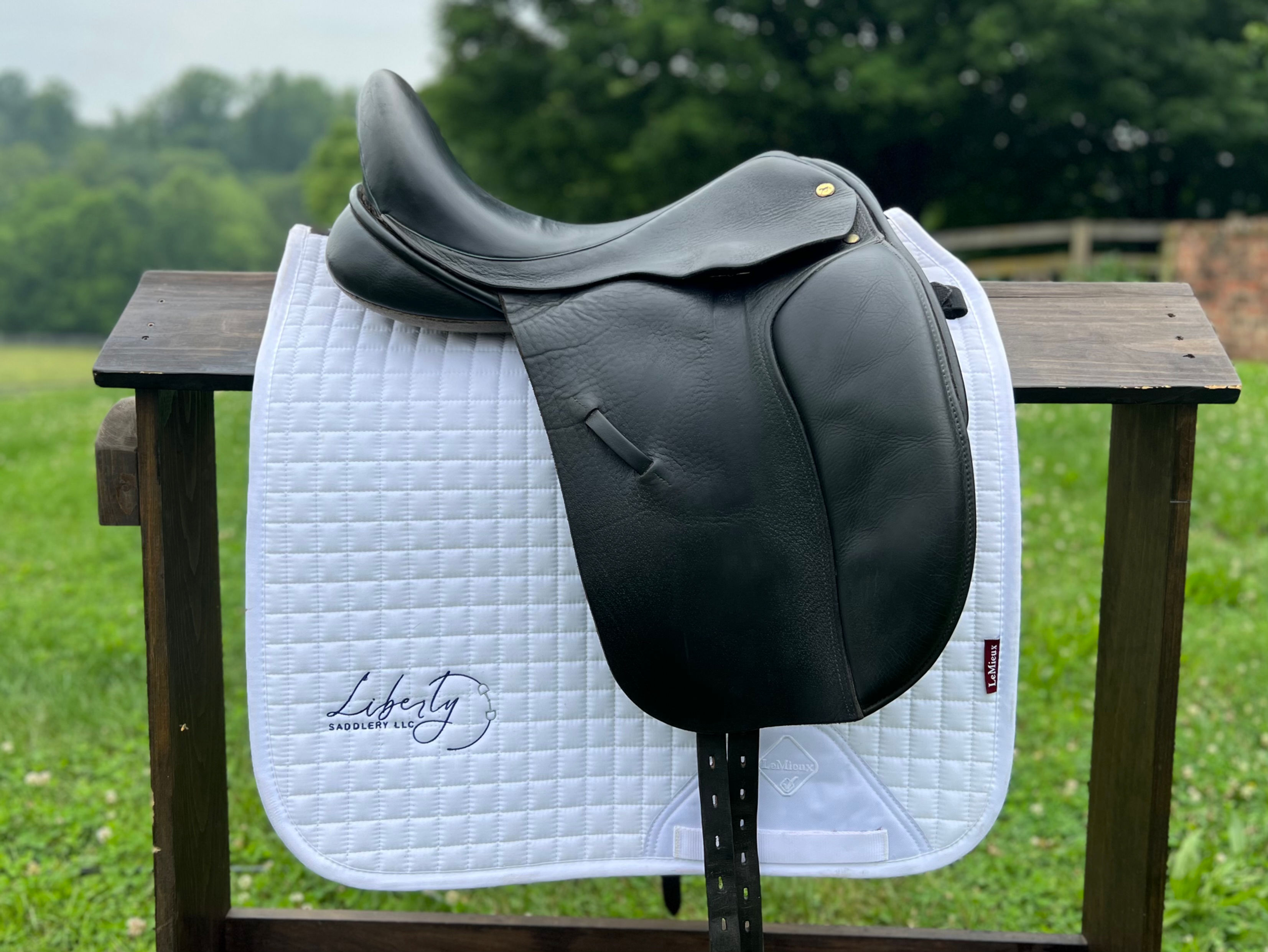 17" Black Country Eloquence