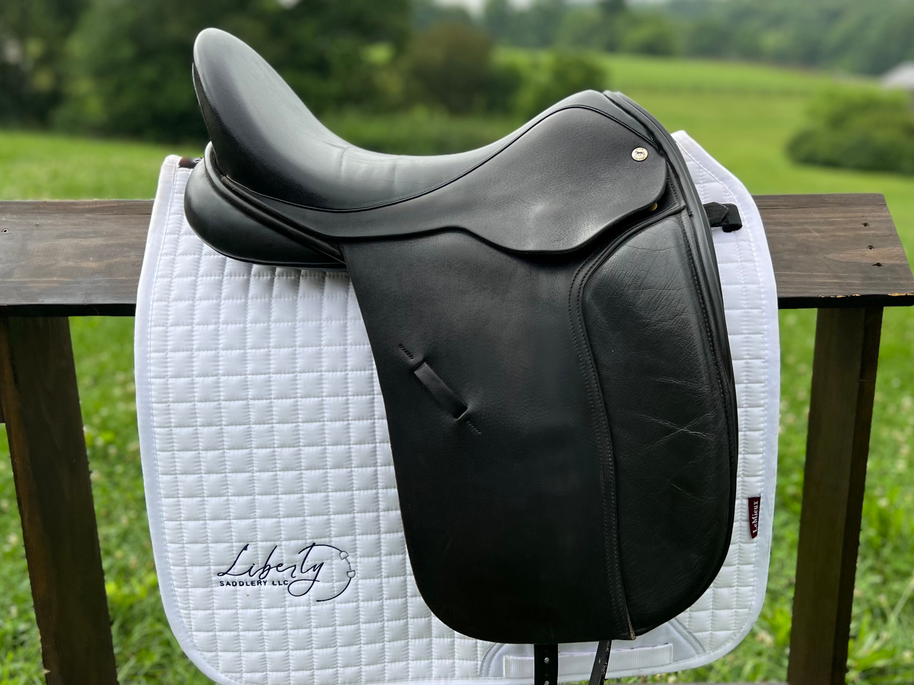 18" Black Country Eloquence