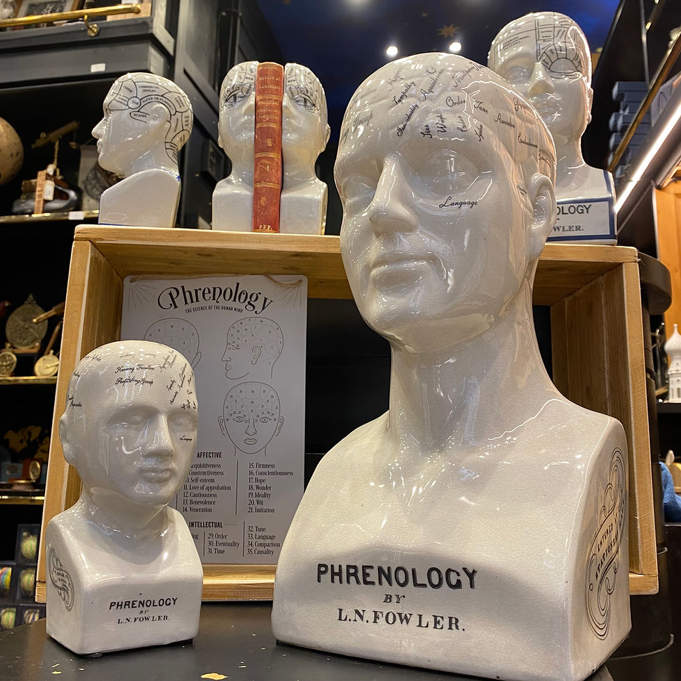Miniature : Buste de phrénologie en porcelaine craquelée, grande taille, affichant des fissures délicates pour une touche authentique