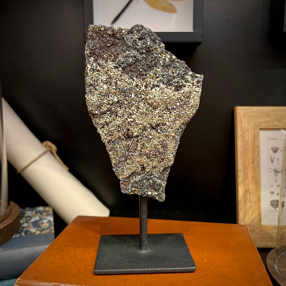 Une pierre shungite avec des incrustations de pyrite sur pied en métal noir - collection de minéraux
