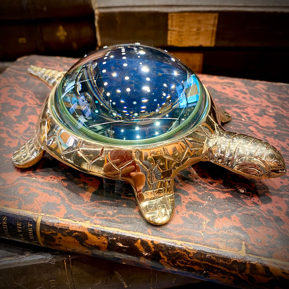 Miniature : Loupe tortue idéale pour une bibliothèque