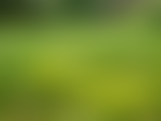 Mos in het gazon, probleem of signaal?