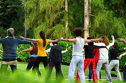 qi gong bouaye 3.jpg