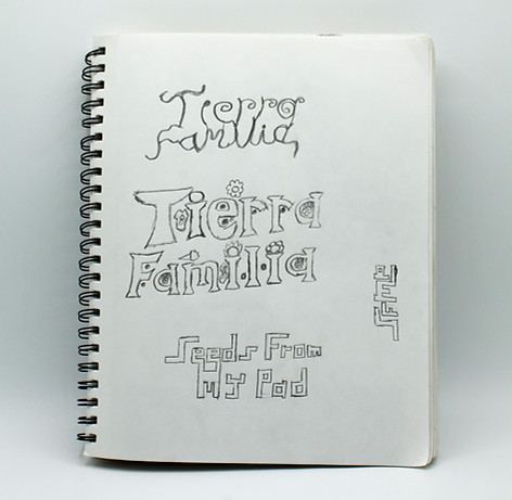 Sketch5.jpg