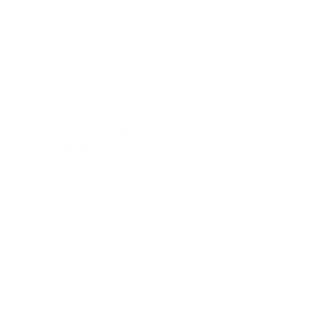 P4Type.png