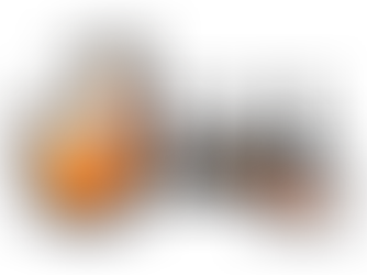 Surpresas mensais para o seu cão: descubra a FitDogBox