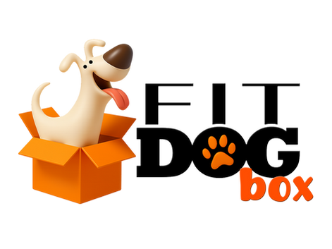 Surpresas mensais para o seu cão: descubra a FitDogBox