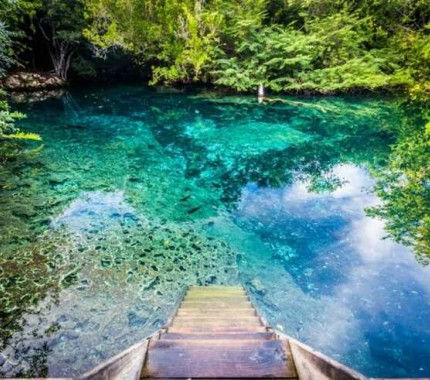 Natural pool at the reserve