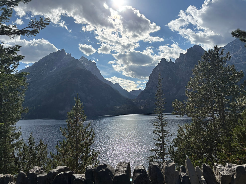 Jenny Lake Overlook