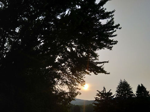 home sunrise.jpg