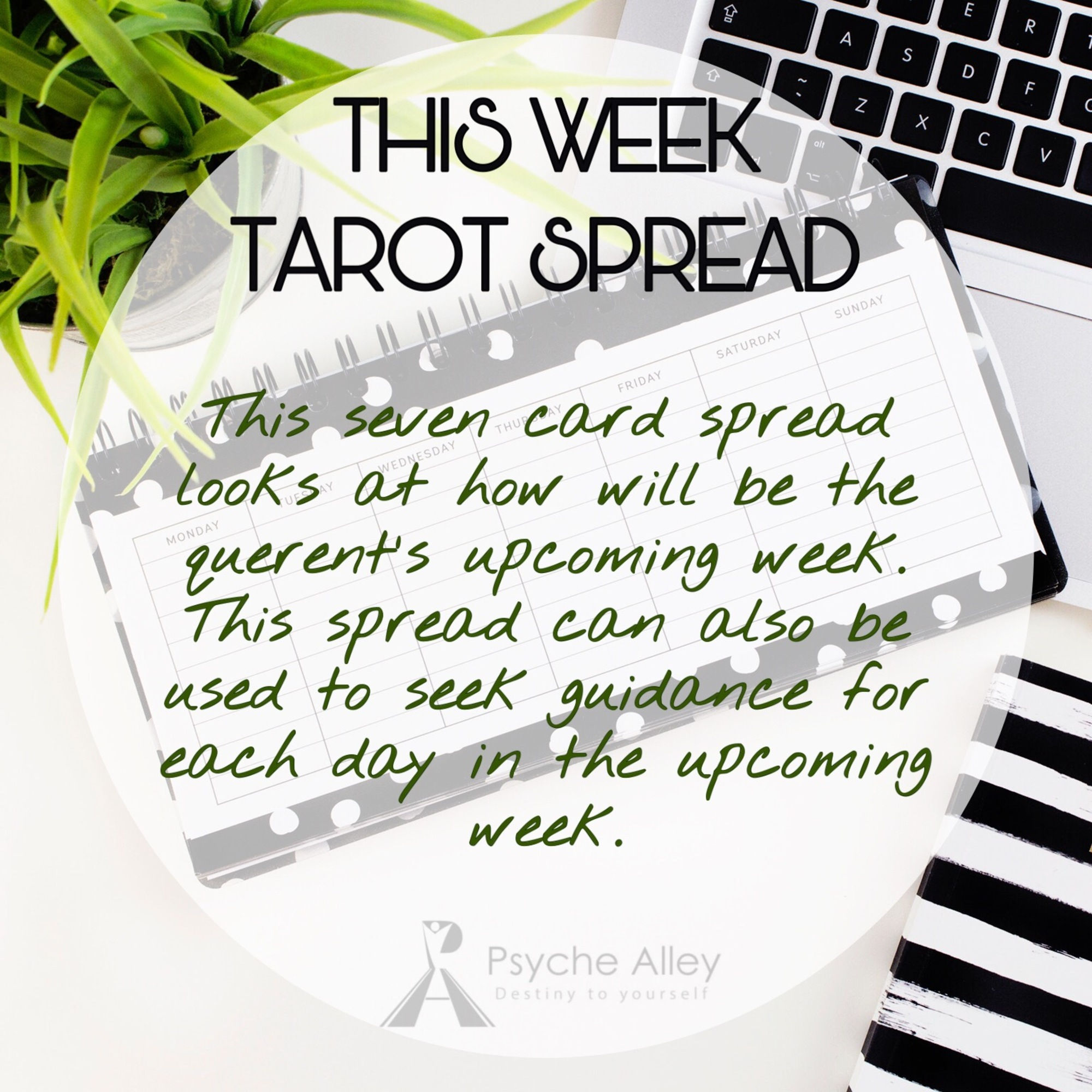 This Week Tarot Spread