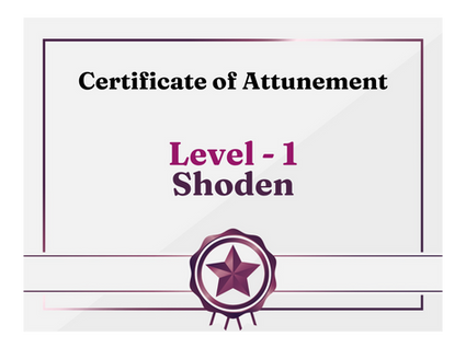 Level 1 - Shoden - Reiki Certification by CHI - Noida