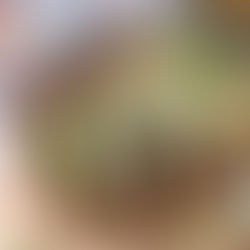 tacos with crispy, golden eggplant fries piled high with creamy avocado, zesty onion, and salty Cotija cheese