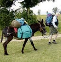 voyage anes
