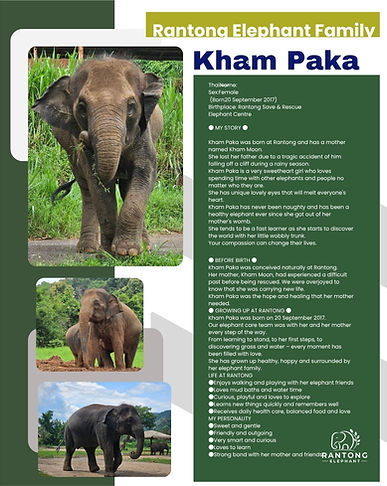 Profile-Khan Paka.jpg