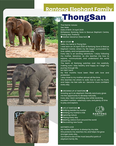 Profile-ThongSan.jpg