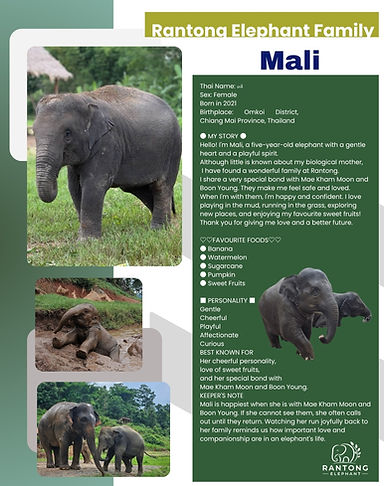 Profile-Mali.jpg