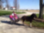 pony ride.jpg