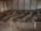 straw maze.jpg