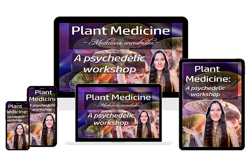 Psychedelic course.png