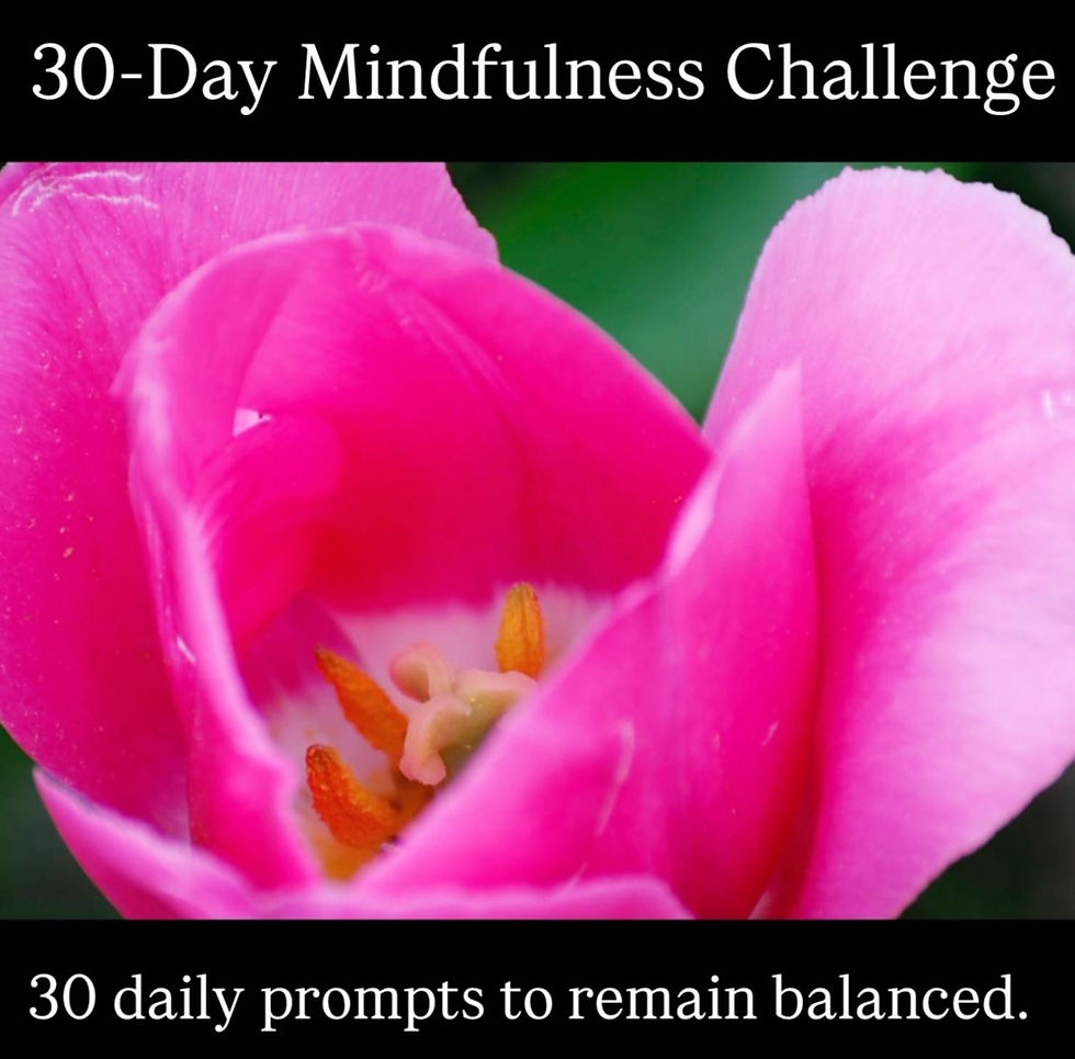 30 day mindfulness challenge