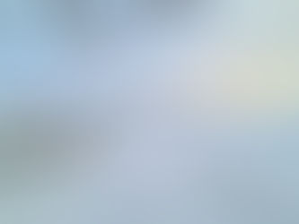 Dagbok: «let them».