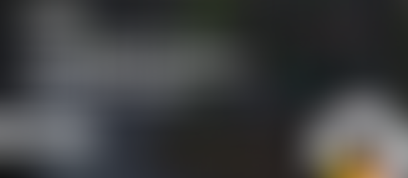 Tout savoir sur la pratique de pêche à l'aimant en Wallonie